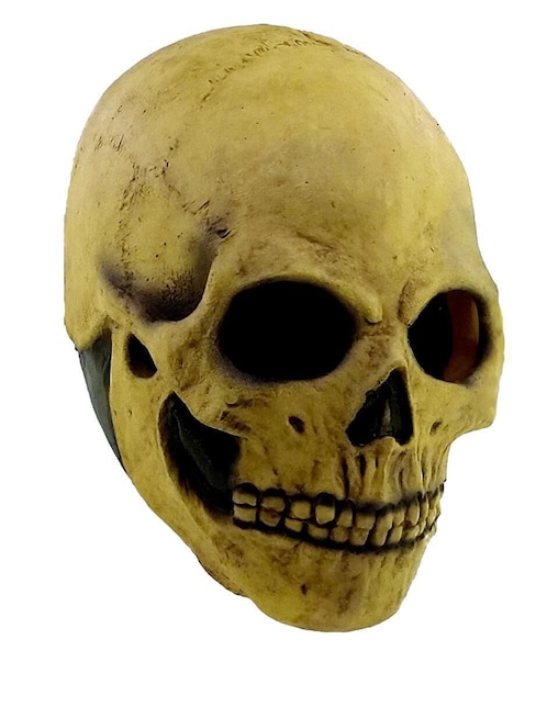 Máscara para disfraz de Cráneo Humano Skull Ghoulish Productions