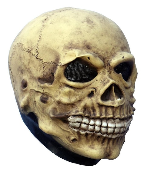Máscara para disfraz de Calavera Junior Skull Ghoulish Productions