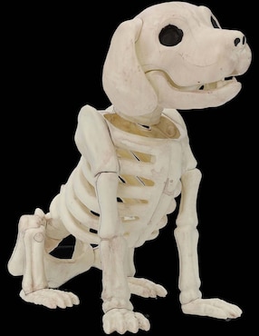 Figura decorativa de Halloween Seasons H con forma de esqueleto de perro