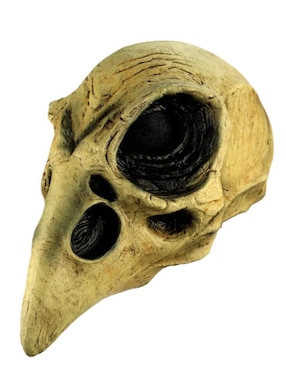 Máscara para disfraz de cráneo de cuervo Skull Ghoulish Productions