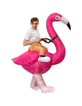 Disfraz Güish de flamenco unisex