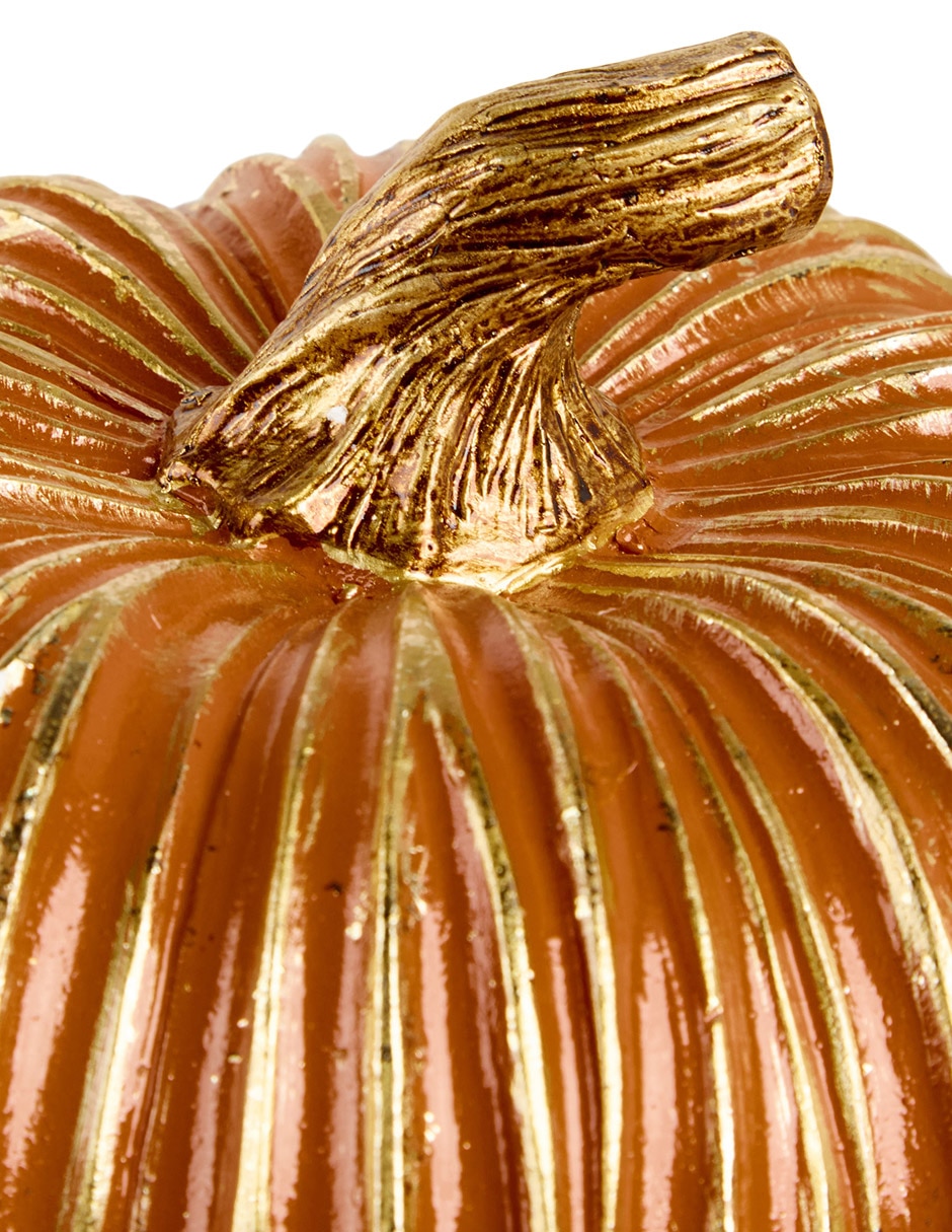 CALABAZA NARANJA GOLDEN