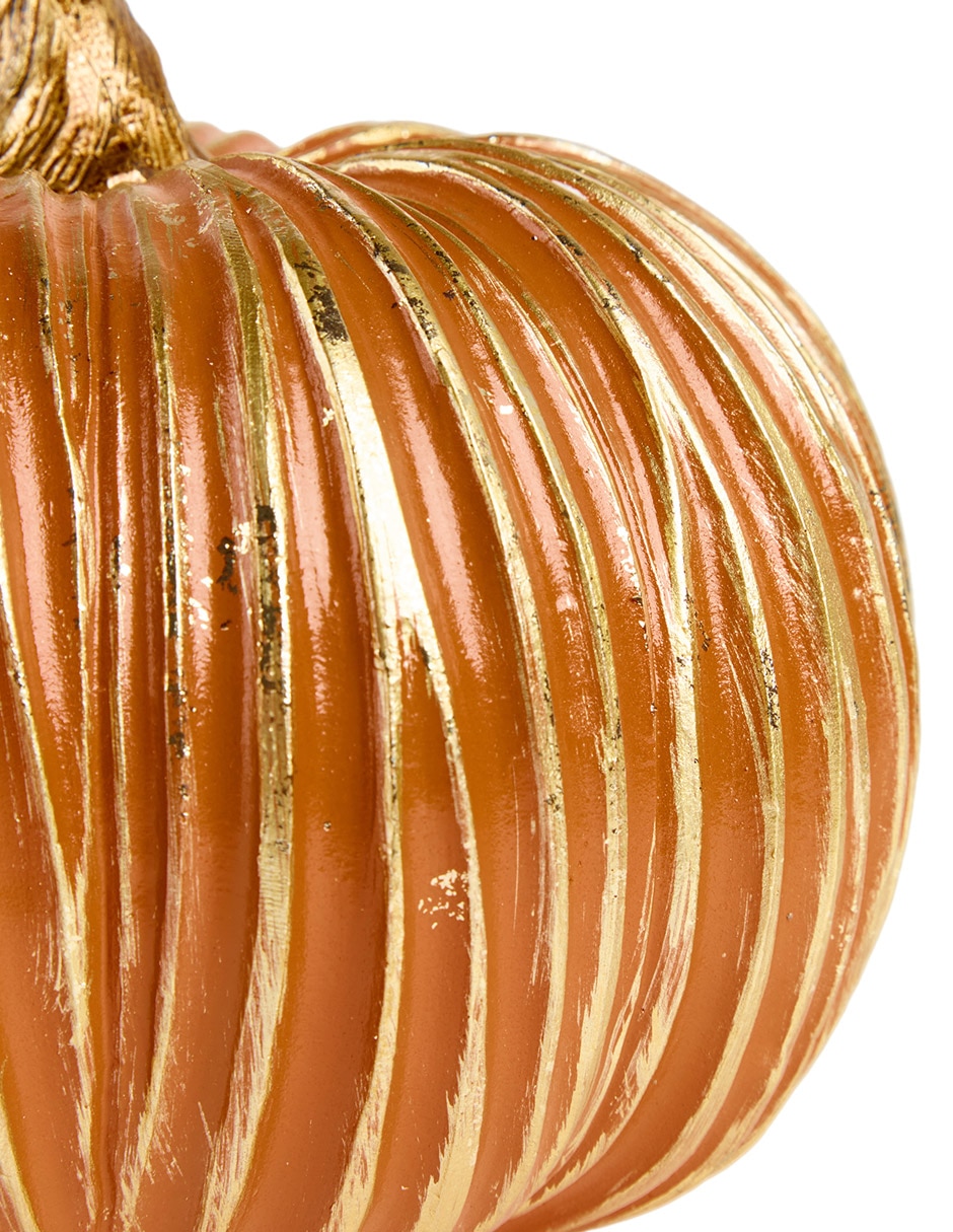 CALABAZA NARANJA GOLDEN