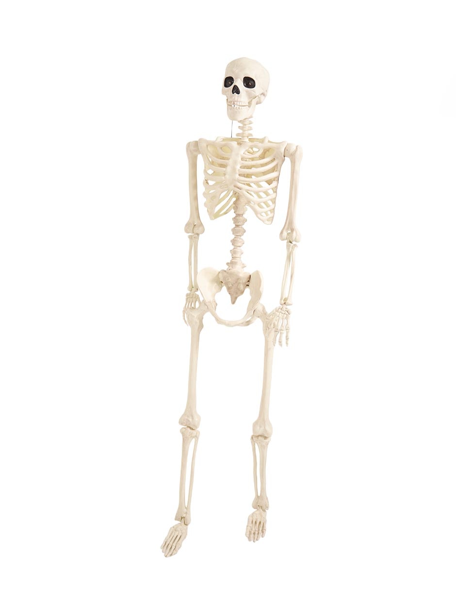 Figura decorativa de Halloween con forma de esqueleto humano