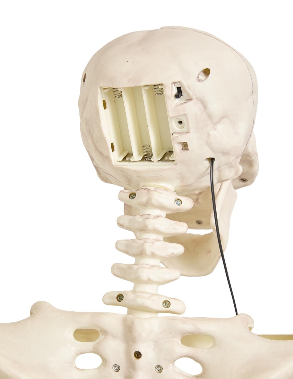 Figura decorativa de Halloween con forma de esqueleto humano 2