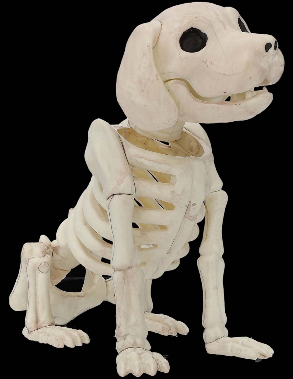 Figura decorativa de Halloween con forma de esqueleto de perro 2