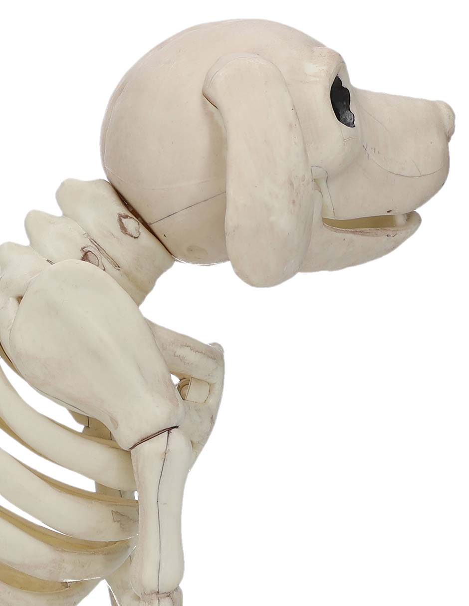 Figura decorativa de Halloween con forma de esqueleto de perro 4