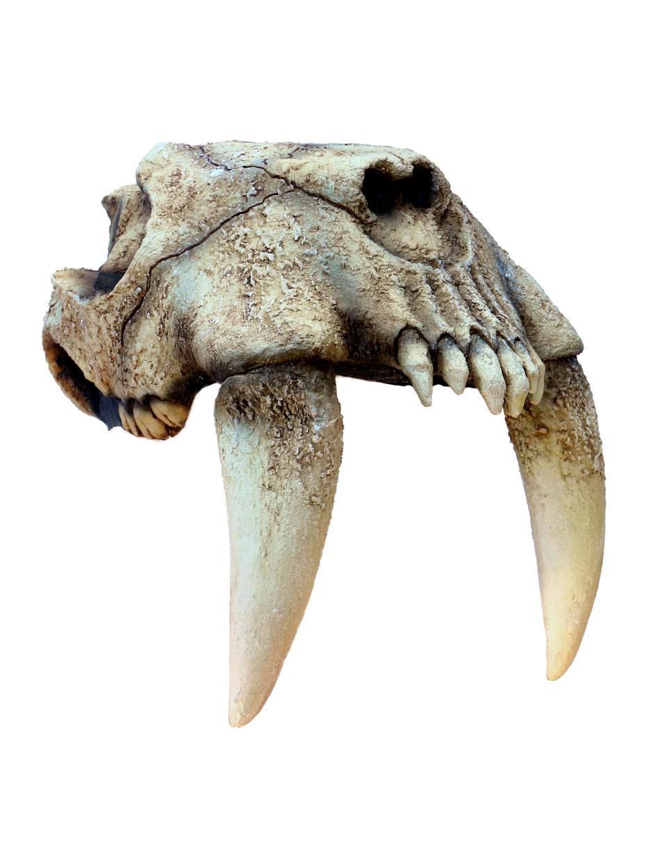 Casco para disfraz de Dientes de sable 3
