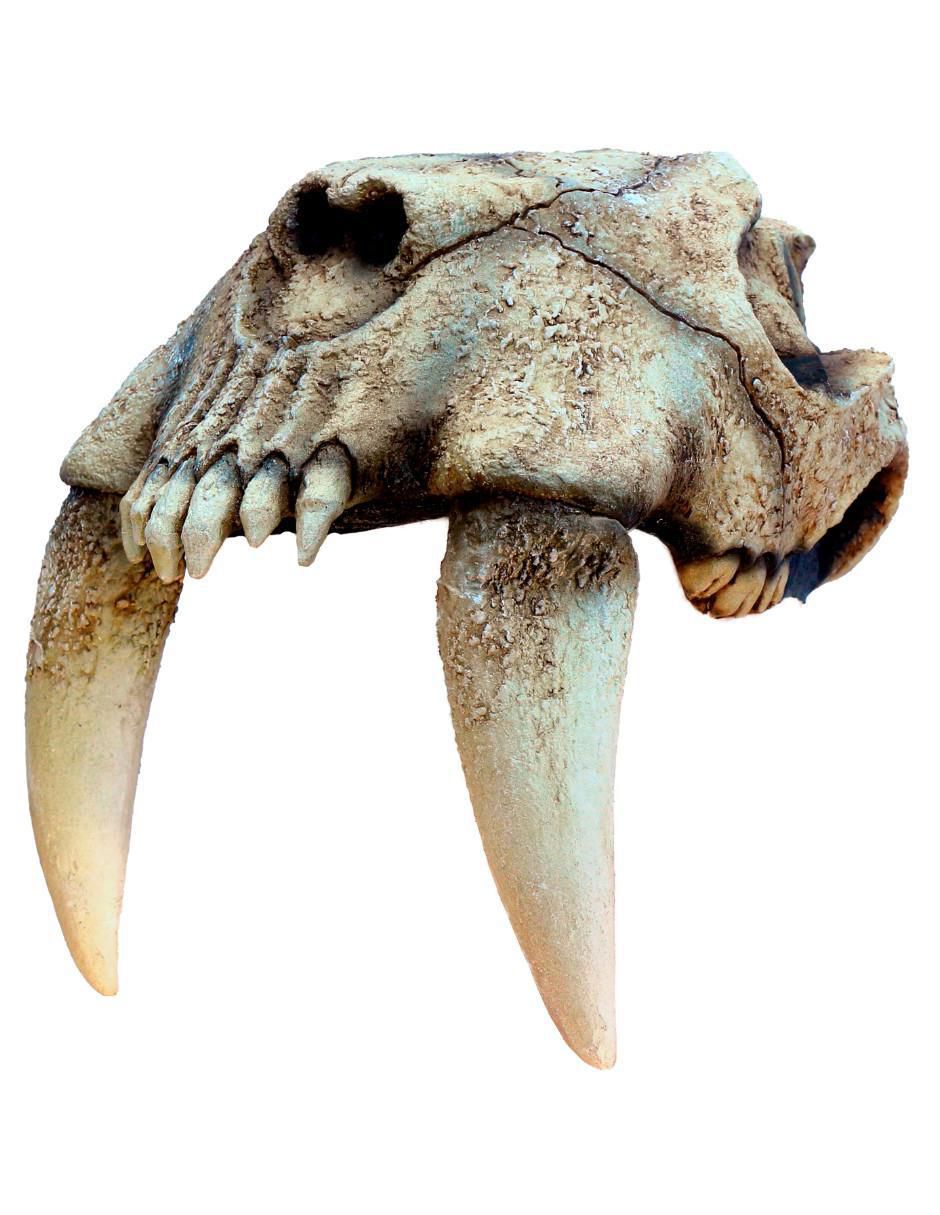 Casco para disfraz de Dientes de sable 4