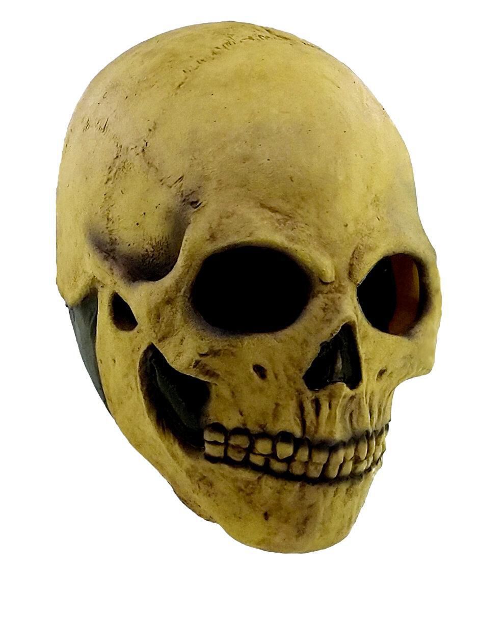 Máscara para disfraz de Cráneo Humano Skull Máscara para disfraz de Cráneo Humano Skull
