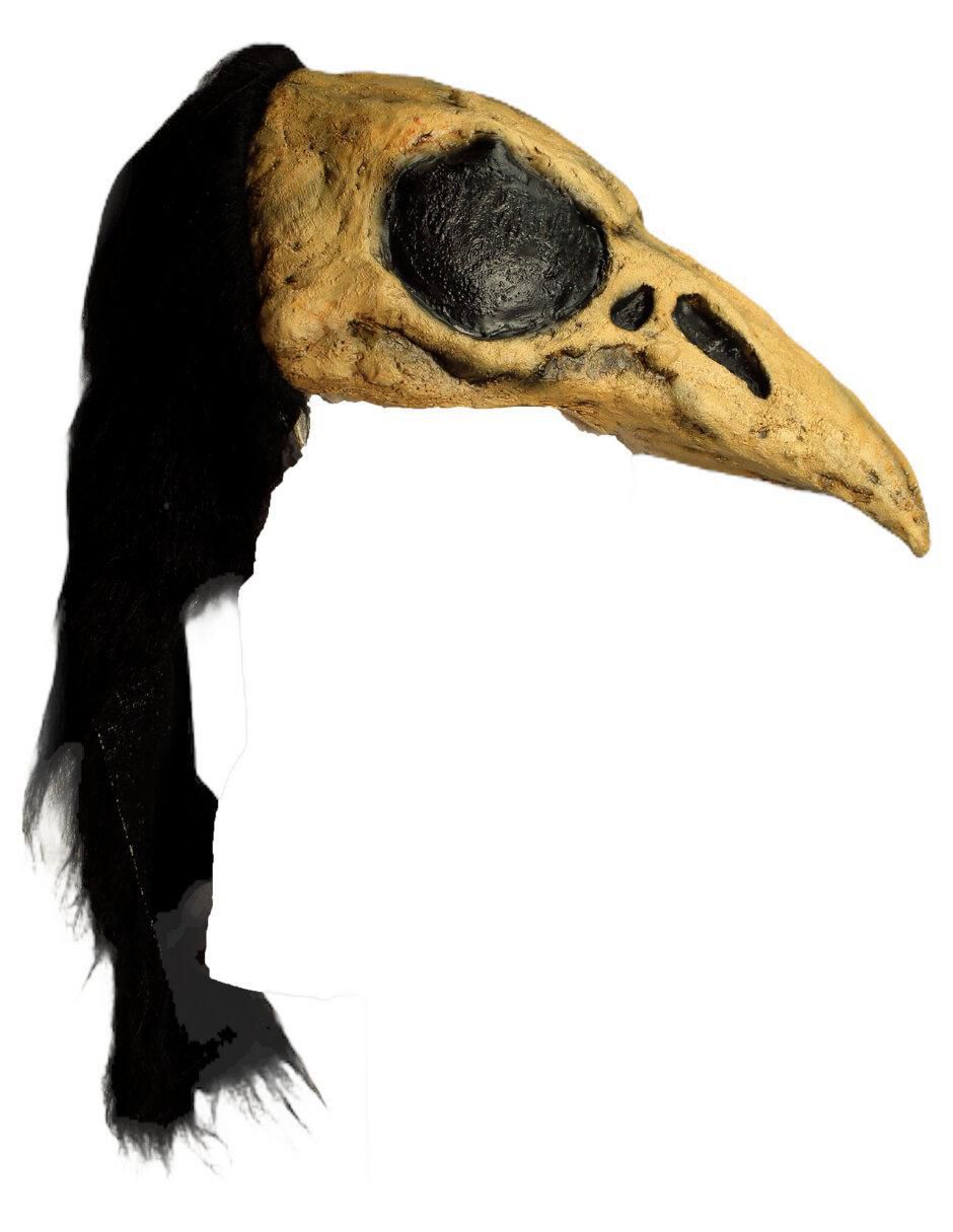 Casco para disfraz de cuervo de fantasía 4